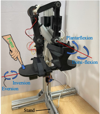 Ankle Foot Exoskeleton